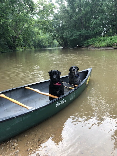 Hocking Hills Canoe Livery Doggos